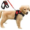 No Pull Dog Harness Outdoor Adventure Pet Vest with Handle