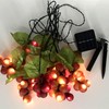 keeda Solar String Lights with Vines, Waterproof 80 LED Grape