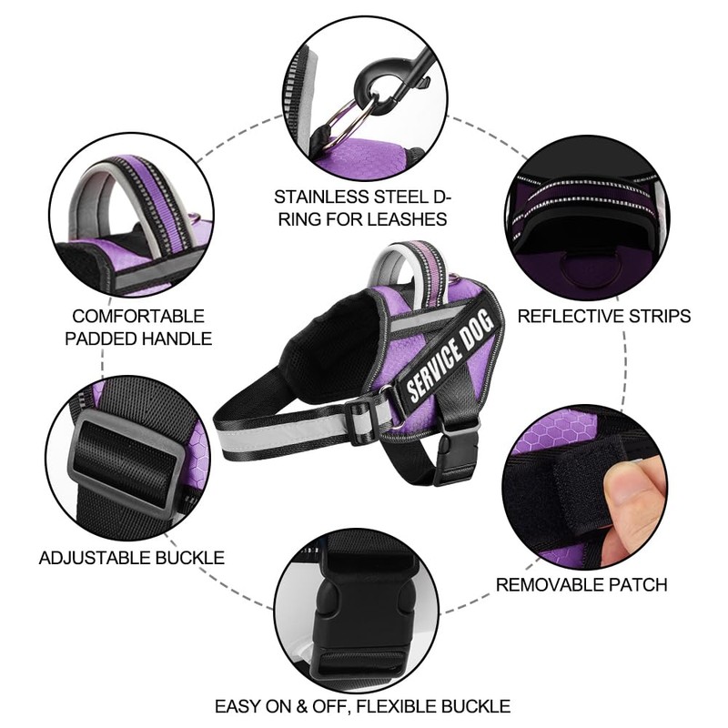 Service Dog Vest Harness and Leash Set, Animire in Training