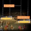 Chicken Coop Heater for Winter, Heat Lamp for Chickens 400W,