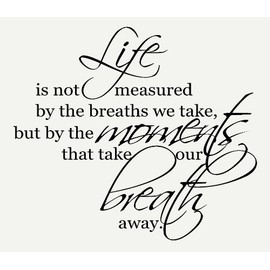 Wall Décor Plus More WDPM1303 Life Isn't Measured by The Breaths You Take, But by The Moments That Take Your Breath Away Wall Vinyl Sticker Saying Decal, 23-Inch W by 20-Inch H, Black