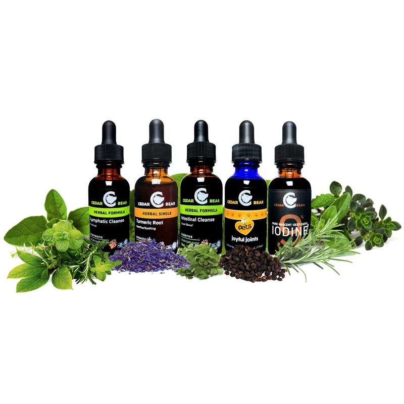 Cedar Bear Chanca Piedra (Phyllanthus niruri) Liquid Herbal Supplement That