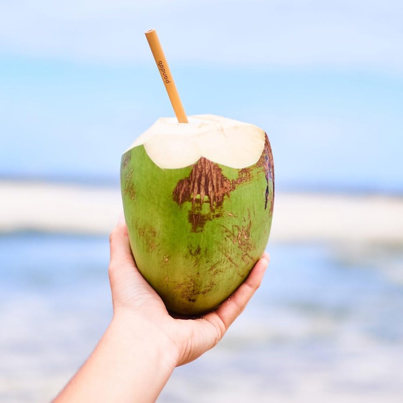 Pandoo® pack of 12, 100 % bamboo straws including cleaning brush