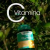 Solanum Vic-ace Vitamina C Con Fruto De Acerola 120 Cápsulas