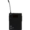 Galaxy Audio ECM Lav Wireless System D