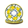 Le Cadeaux Melamine 9 inch Salad Plate, Set of 4,