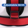 Pawtitas Pet Accessories Adjustable Padded Reflective Dog Harness, Step in