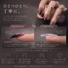 Liberte555 Nail Tips False Nail Black Gradient Medium Long Handmade