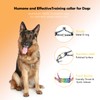 Dog Prong Collar - Stainless Steel Pinch Collar for Large