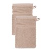 Erwin Müller Karlsruhe Wash Mitt Pack of 2 100% Cotton