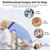 Queenmore Dog Surgical Recovery Suit Onesie, Recovery Suit for Dogs