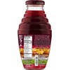 Beetology Organic Beet and Tropical Juice, 8.45oz (6 Pack) |