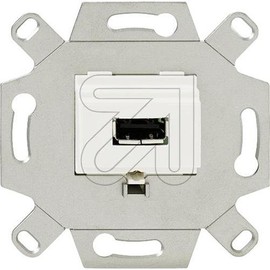 Rutenbeck USB Connection Socket, KM-USB Up 0 rw, 17010551