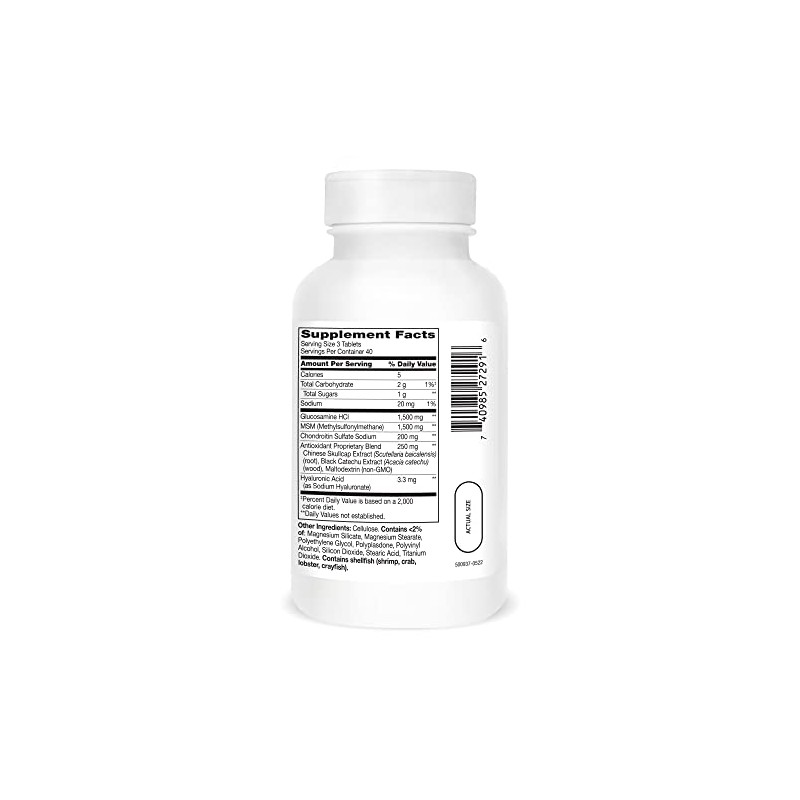 21st Century Glucosamine Chondroitin Advanced, plus 1500mg MSM, 120 Coated