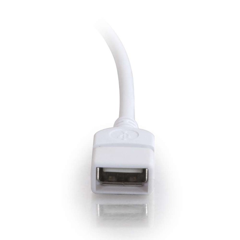 9.8ft (3m) USB 2.0 A Male to A Female Extension