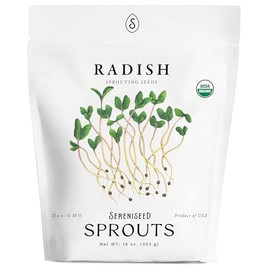 Organic Radish Sprout Seeds (16 oz) – Non-GMO, Heirloom Seeds for Sprouting and Microgreens