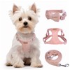 Dog Harness and Leash Set, XXS No Pull Adjustable Puppy