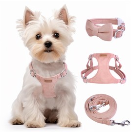 Dog Harness and Leash Set, XXS No Pull Adjustable Puppy Harness with Multifunction Pink Dog Leash and Dog Collar, Soft No Choke Escape Proof Pet Harness Vest for Small Dogs and Cats (Pink, M)