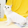 PetGround Cat Postoperative Clothes Female Male Easy to Put On
