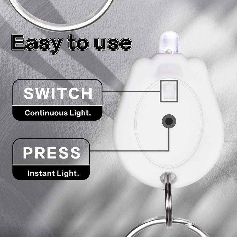 RaySoar 10 Pack Ultra Bright Mini LED Keychain Flashlight, Small