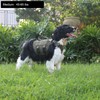 ICEFANG GN3 Tactical Dog Harness with 6X Buckle,Dog Molle Vest