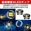 HAMILO License Plate Light Tail Lamp, High Brightness, Easy Installation,