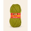 Sirdar Hayfield Fern Green Bonus Yarn - 100g Chunky