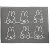 Okato Polyester Dish Drying Mat, Dish Drainer, 11.8 x 15.7