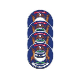 Get Outside Games 4 State Flag VVashers - Washer Toss Washer Board Game Washers (Michigan, 4 VVashers with Container)