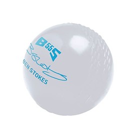 Gunn & Moore GM All-Weather Rubber Cricket Training Ball, BS55 Ben Stokes, 70 Grams Junior Size, White