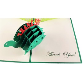 iGifts And Cards Cute Turtle Thank You 3D Pop Up Greeting Card - Funny Animals, Turquoise, Blank, Cool, Fun, Half-Fold, Thank You, Gratitude, Appreciation, Friendship, Best Friend, Belated, Kids, Grad