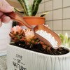 G GOOD GAIN Garden Succulent Kit with Organizer Bag, 14