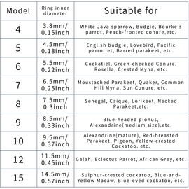 Copfeu Bird Foot Chain Flying Stainless Steel Training Rope with Leather Wrist Strap Outdoor Parrot Ankle Foot Ring Accessories Bird Harness Leash Prevent Escaping (Model 6 Set)