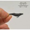 SMA Miniature Humpback Whale 1 PC AW 11905