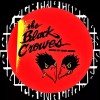 THE BLACK CROWES-SHAKE YOUR MONEY MAKER SET OF THREEBRACELE