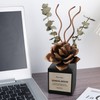 Aeeteek Reed Diffuser Set, Sandalwood & Cedarwood Scented Oil with