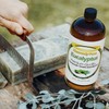 Heavenly Pure - Eucalyptus Essential Oil 16 oz Large Bottle