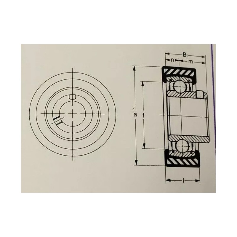 CJ RCSM-16S Rubber Cartridge Bearing RCSM205-16S HVAC Set Screw Bearings