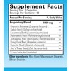OsteoPhase Natural Herbal Bone Support Formula (120 Vegetarian Capsules)