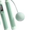 Jump Rope with Counter Rechargeable Cordless Weighted Smart Skipping Rope