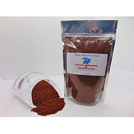 16 oz Cress Seeds for Sprouting Microgreens, A Rich Source of Vitamins and Minerals and Health-Promoting Nutrients! COOL BEANS N SPROUTS Brand, A Small Town Family Run USA Business