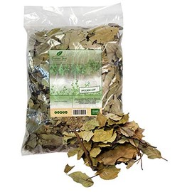 Avocado Leaves - 1 Pound-16 Ounce-Persea Americana/Hoja de Aguacate