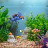 onesimcr Floating Fish Tank Decorations, Lovely Diver Aquarium Accessories