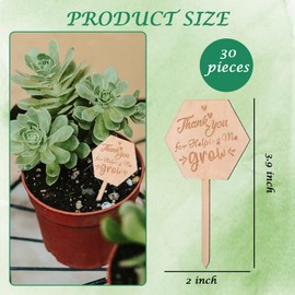 30Pcs Let Love Grow Hexagon Wooden Plant Stakes, Watch Me Grow Succulent Tags Baby Shower Favor Label, Garden Marker Sign Wedding Bridal Anniversary, Thanksgiving Potted Plants 2×3.9 in