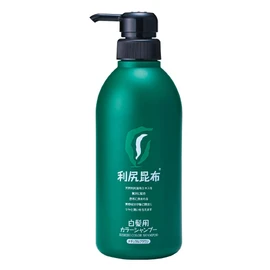 Sastty Color Shampoo for Gray Hair, Economical Use, 16.9 fl oz (500 ml) (Natural Brown)