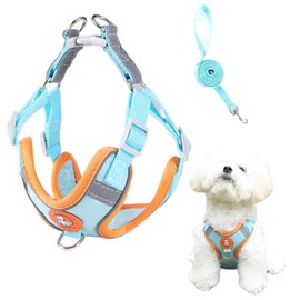 Dog Harness for Dogs, Dog Harness, Puppy Harness, Small Dogs, Puppy Harness, Dog Harness, Reflective, XS, Blue