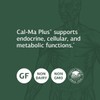 Standard Process Cal-Ma Plus - Calcium Support for Endocrine and