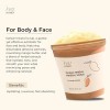 Hey Honey Skincare Mango Herbal Mineral Scrub Exfoliante De