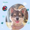 Petcachoo Dog Chew Toys Set