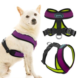 Comfort X Harness Dual Snap Mesh, Violet, X-Large